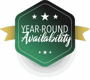 Year-Round Availability